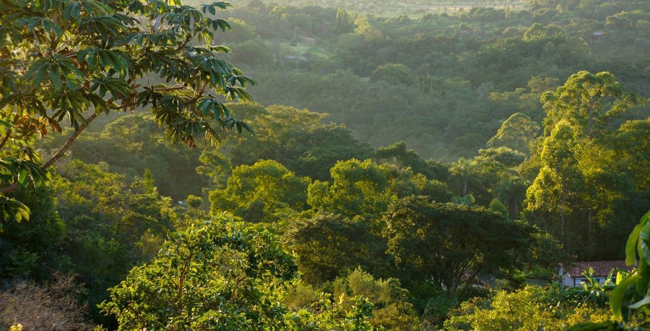 Cerrado Lodge Brasilia Exterior photo